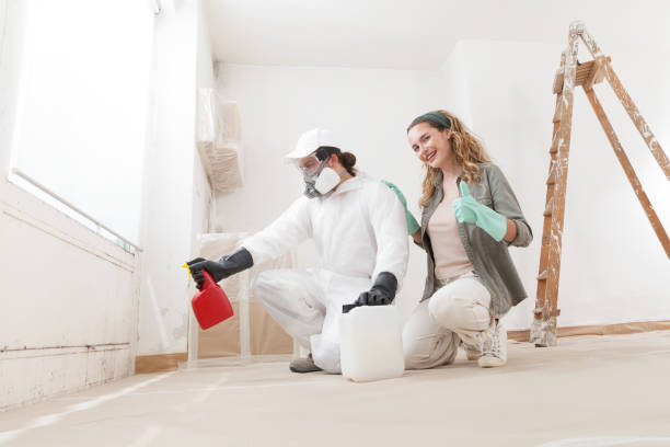 South Plainfield, NJ Mold Inspection, Removal & Remediation Company